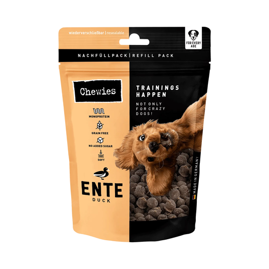 Trainings-Happen Ente